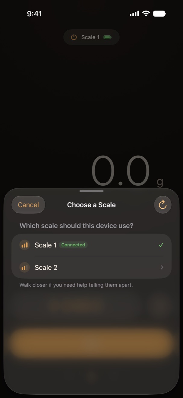 Choose a Scale sheet listing Scale 1, connected, and Scale 2